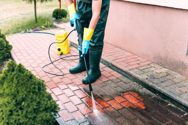 Trusted Discovery Harbour, HI Pressure Washing Services Experts